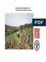 Organic Pineapple Manual (PDFDrive)