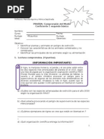 Carta de Intención