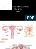 Reproduksi Wanita