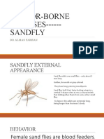 Vector-Borne DISEASES - Sandfly: DR Almas Farhan