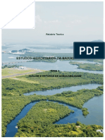 Relatório técnico sobre estudos hidroviários da Baixada Santista