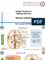 Núcleos Basales 2