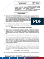 El Pe 02 Declaración Juramentada