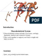 Effects of Aging On The Musculoskeletal System