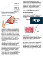 Unit 2 Structure of Skeletal Muscle