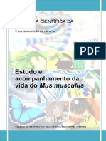 Estudo da vida e reprodução do rato de laboratório Mus musculus