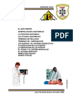 Sebastian Hernandez - Anatomia y Fisiologia Aplicada Primeros Auxilios
