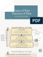 Tracts of Pain Theories of Pain: By: Cheah Xiao Wei D20100892