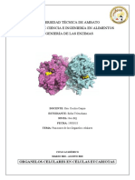 Funciones de Los Organelos Celulares