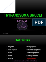 Trypanosoma Brucei: Dr.T.V.Rao MD