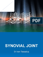 Synovial Joint