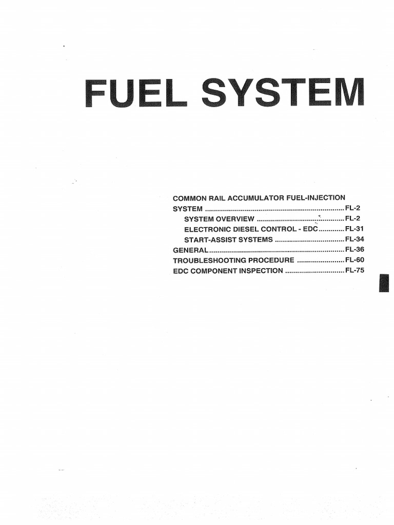 Fuel System | PDF