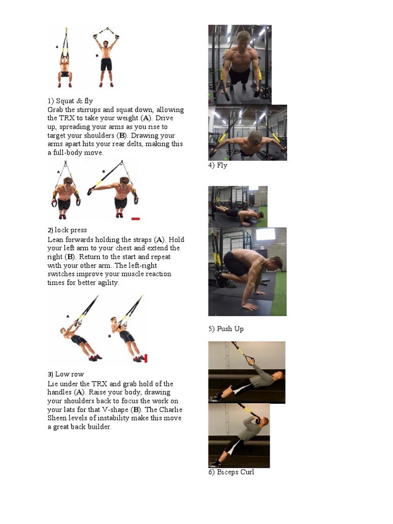 TRX Exercises PDF Arm Limbs (Anatomy)
