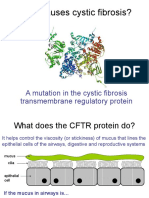 What Causes Cystic Fibrosis?: A Mutation in The Cystic Fibrosis Transmembrane Regulatory Protein