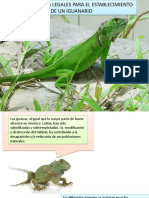 Requerimientos Legales para El Establecimiento de Un Iguanario