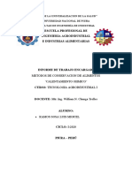 Informe de Tecnologia FINAL I