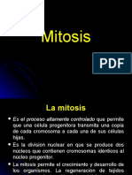 Mitosis: Etapas y proceso de división celular