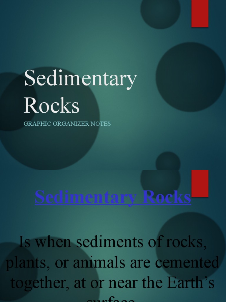 Sedimentary Rocks Graphic Organizer Notes PDF