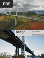 Download Bridge by Peter Bishop by starspeed3 SN55981484 doc pdf