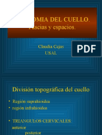 Anatomia de Cuello