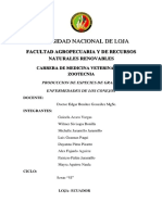 PDF Enfermedades de Conejos Compress