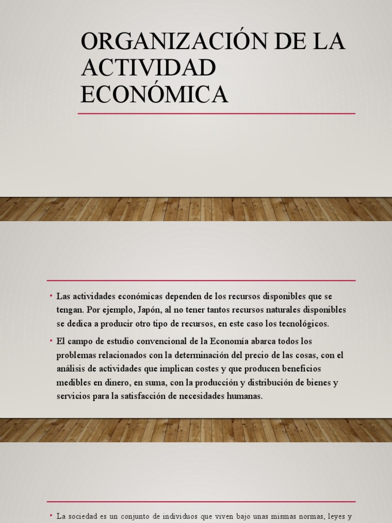 Organizaciòn de La Actividad Economica PDF Sociedad Economias