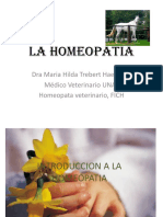 La Homeopatia