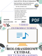 Holobasidiomycetidae y Heterobasidiomycetidae-1