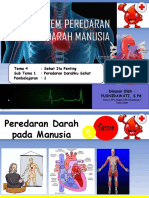 Peredaran Darah