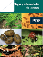 Plagas_y_enfermedades_de_la_patata