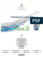 11 Priorizacion Curricular - Fisica 3