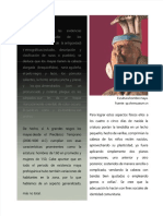 PDF Analisis Antropometria Maya - Compress