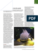 Magazine: Regeneration Lessons From The Axolotl