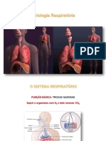 Fisiologia Respiratória: Troca Gasosa e Ventilação Pulmonar