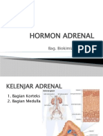 Hormon Adrenal - Dr. Triawanti