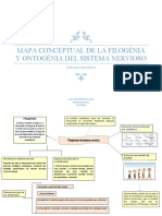 Filogénesis y Ontogénesis Del Sistema Nervioso