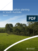 Guide To Carbon Planting in South Australia