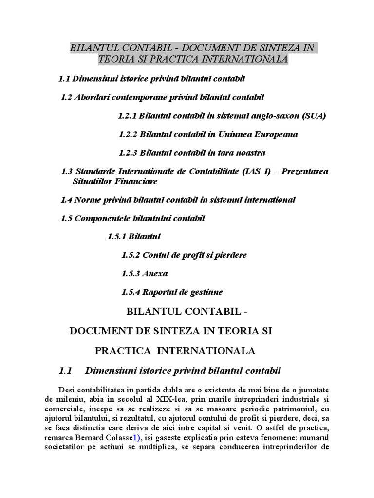 Bilantul Contabil | PDF