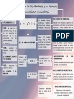 Mapa Conceptual El Origen de Ls Elements