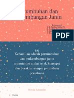 PPT pertumbuhan dan perkembangan janin