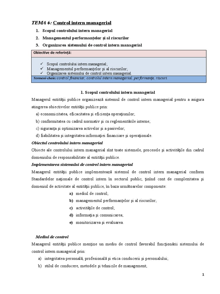 +++TEMA 6 Control Intern Managerial | PDF
