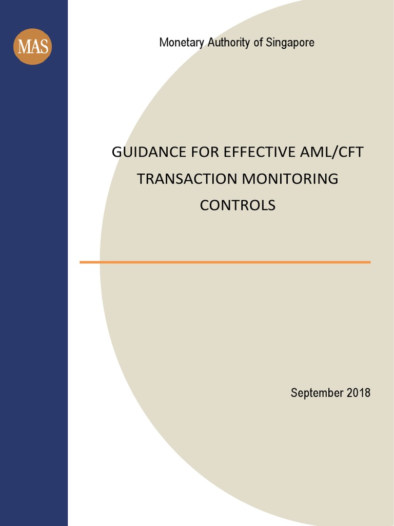 Guidance For Effective AML CFT Transaction Monitoring Controls | PDF ...