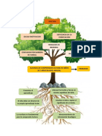 Arbol de Problemas - Comprension Lectora Inicial