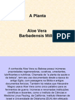 A Planta