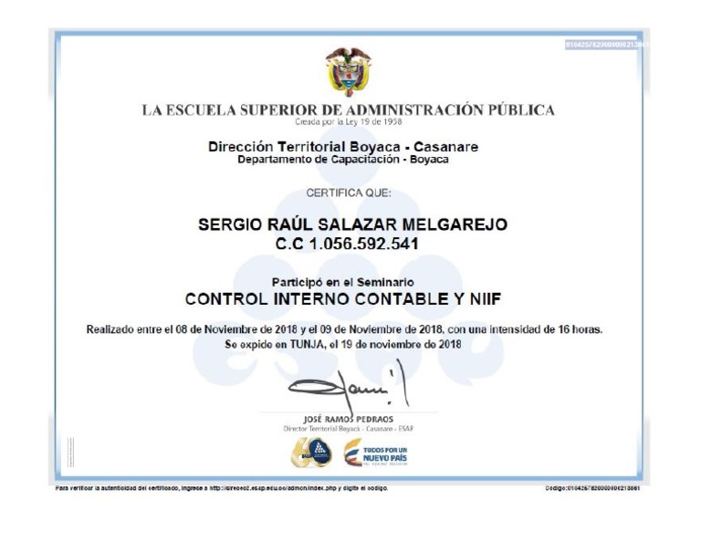 Seminario Control Interno Contable Y Niif PDF