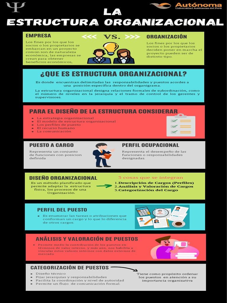 Estructura Organizacional y Perfiles de Puesto | PDF | Economias | Business