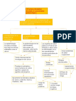 Medicina , parte gabriela-mapa conceptual