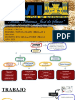 ORGANIGRMA TEMA 1