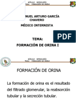 Formacion de Orina I