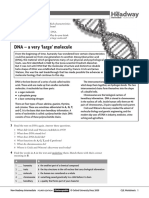 CLIL_14_DNA